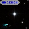 HD 233824