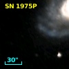 SN 1975P