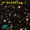 V* V1224 Cyg