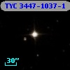 TYC 3447-1037-1