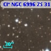 Cl* NGC 6996     ZS      31