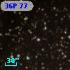 36P 77