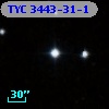 TYC 3443-31-1