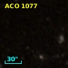 ACO  1077