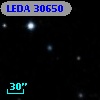 LEDA   30650