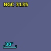 NGC  3135