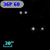 36P 60