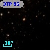 37P 85