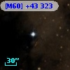 [M60] +43 323