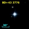 BD+43  3776