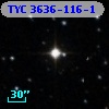 TYC 3636-116-1
