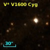 V* V1600 Cyg