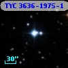 TYC 3636-1975-1