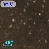 V* V1495 Cyg