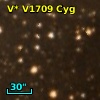 V* V1709 Cyg