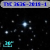 TYC 3636-2018-1