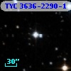TYC 3636-2290-1