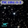 TYC 3181-1-1
