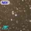 NSV 13483