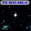 TYC 3637-666-1