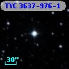 TYC 3637-976-1