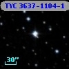 TYC 3637-1104-1