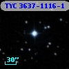 TYC 3637-1116-1