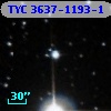 TYC 3637-1193-1
