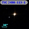TYC 2490-113-1