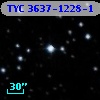 TYC 3637-1228-1