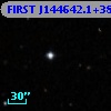 FIRST J144642.1+383928