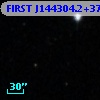 FIRST J144304.2+373657