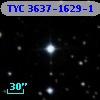 TYC 3637-1629-1