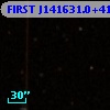FIRST J141631.0+413631