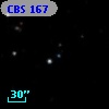CBS 167