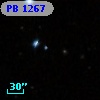 PB  1267