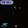 PB   981