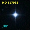 HD 117935