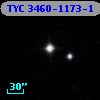 TYC 3460-1173-1