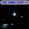 TYC 3460-1177-1