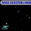 NVSS J131750+443638