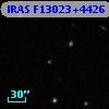 IRAS F13023+4426