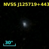 NVSS J125719+443630