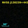 NVSS J130239+443716