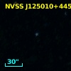 NVSS J125010+445001