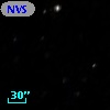 NVSS J124956+441936