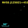 NVSS J125021+453131