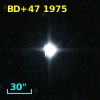 BD+47  1975