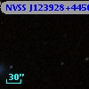 NVSS J123928+445022
