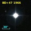 BD+47  1966